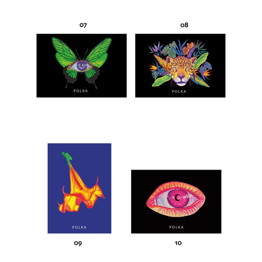 Imanes ilustrados