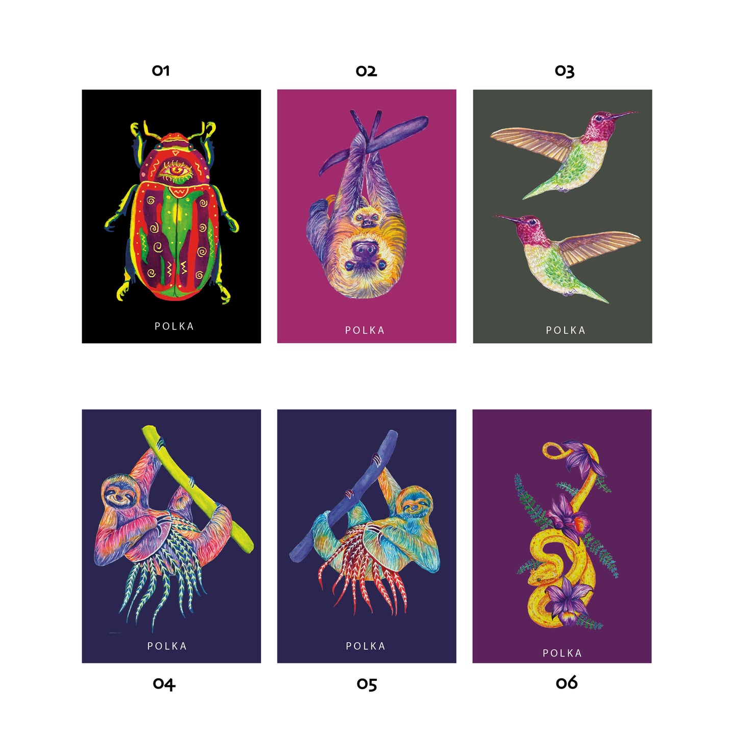 Imanes ilustrados