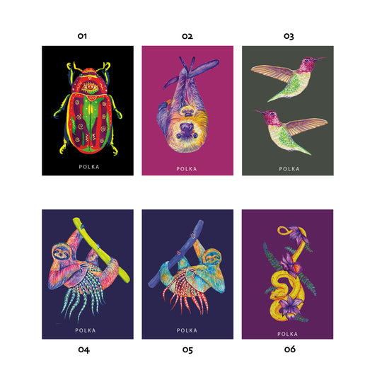Imanes ilustrados