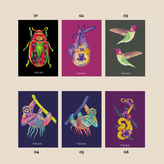 Imanes ilustrados