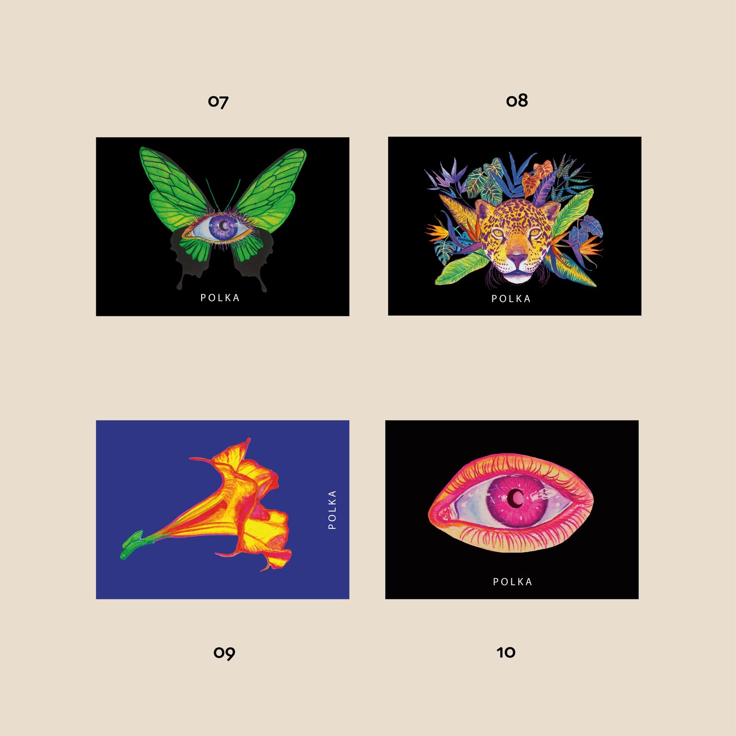Imanes ilustrados